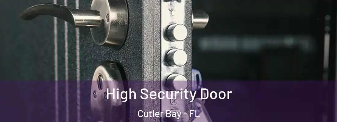  High Security Door Cutler Bay - FL