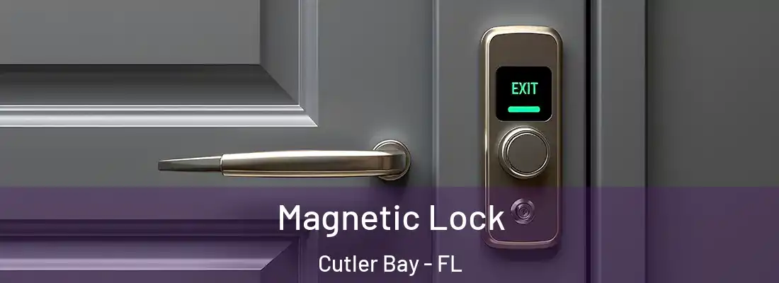  Magnetic Lock Cutler Bay - FL