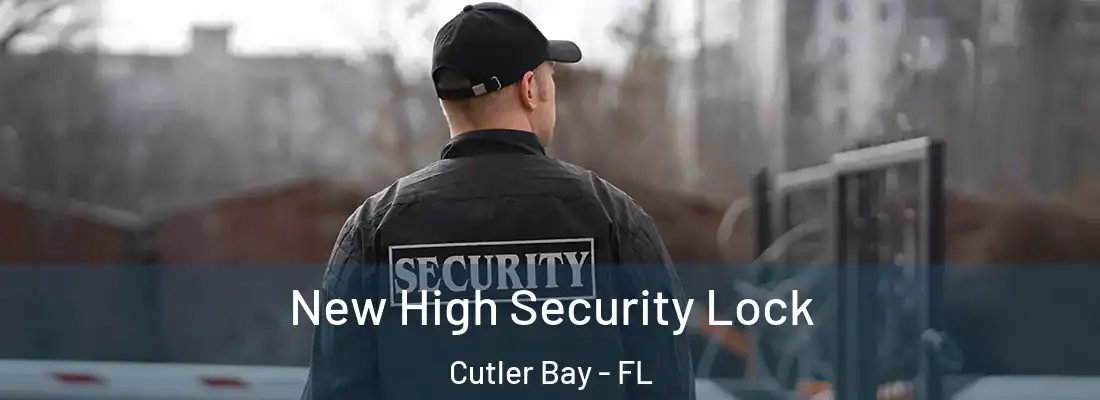  New High Security Lock Cutler Bay - FL