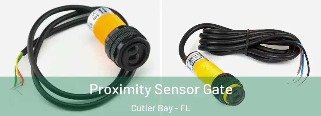  Proximity Sensor Gate Cutler Bay - FL